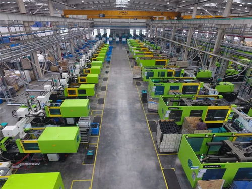 浙江新聞聯播 頭條點贊 看看溫嶺企業如何實現高質量發展